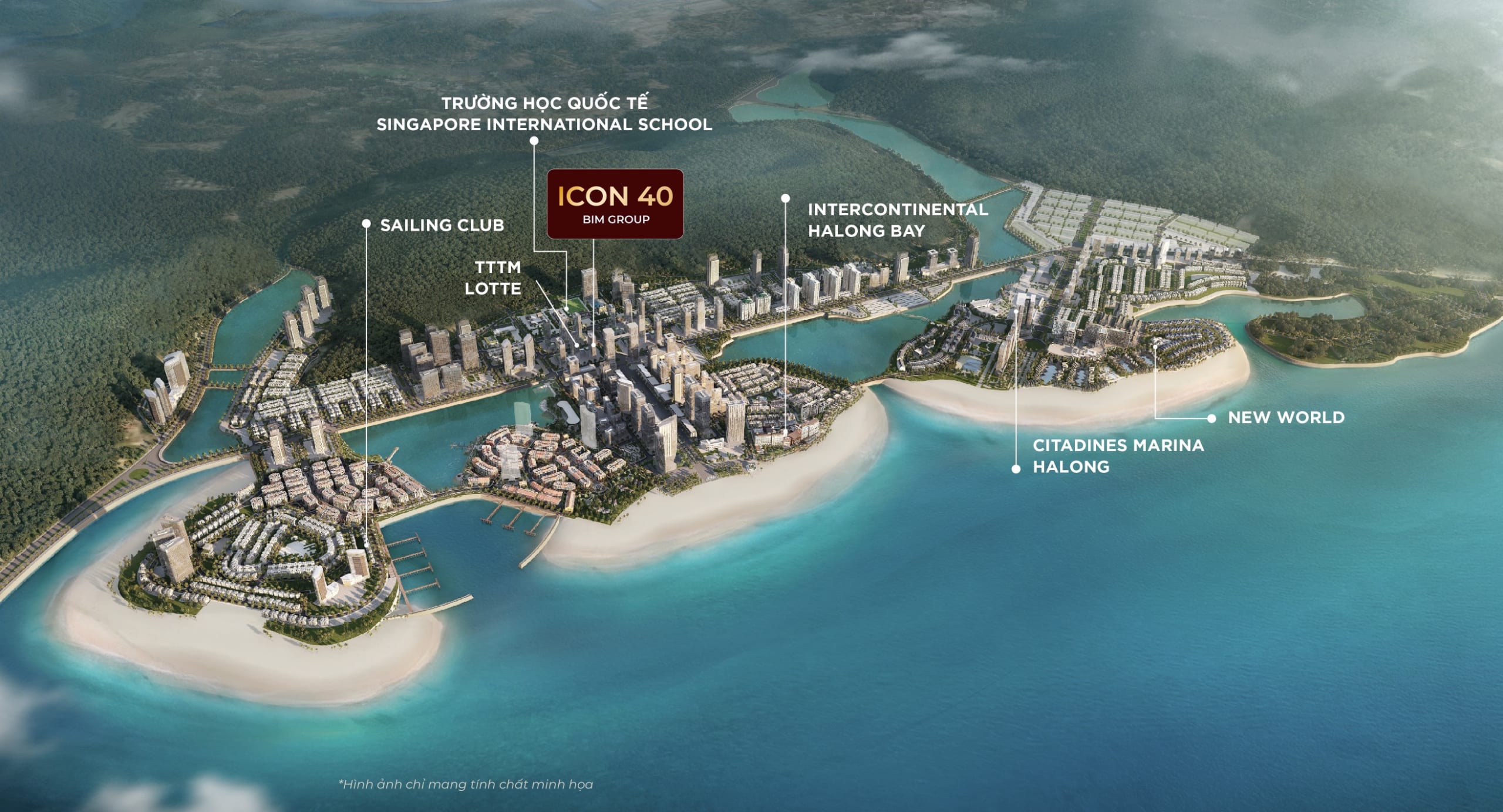 quần thể dự án